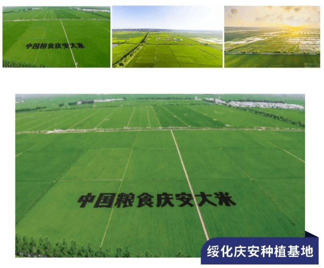 【展商推荐】众多知名企业的合作伙伴：安稻农业