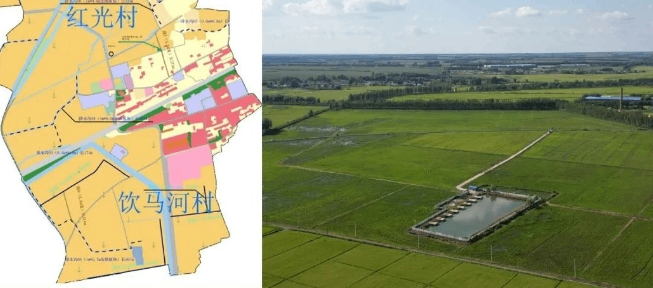 超采会【展商推荐】健康、营养好大米：吉林省喜稻美嘉农业 欧盟标准种植基地